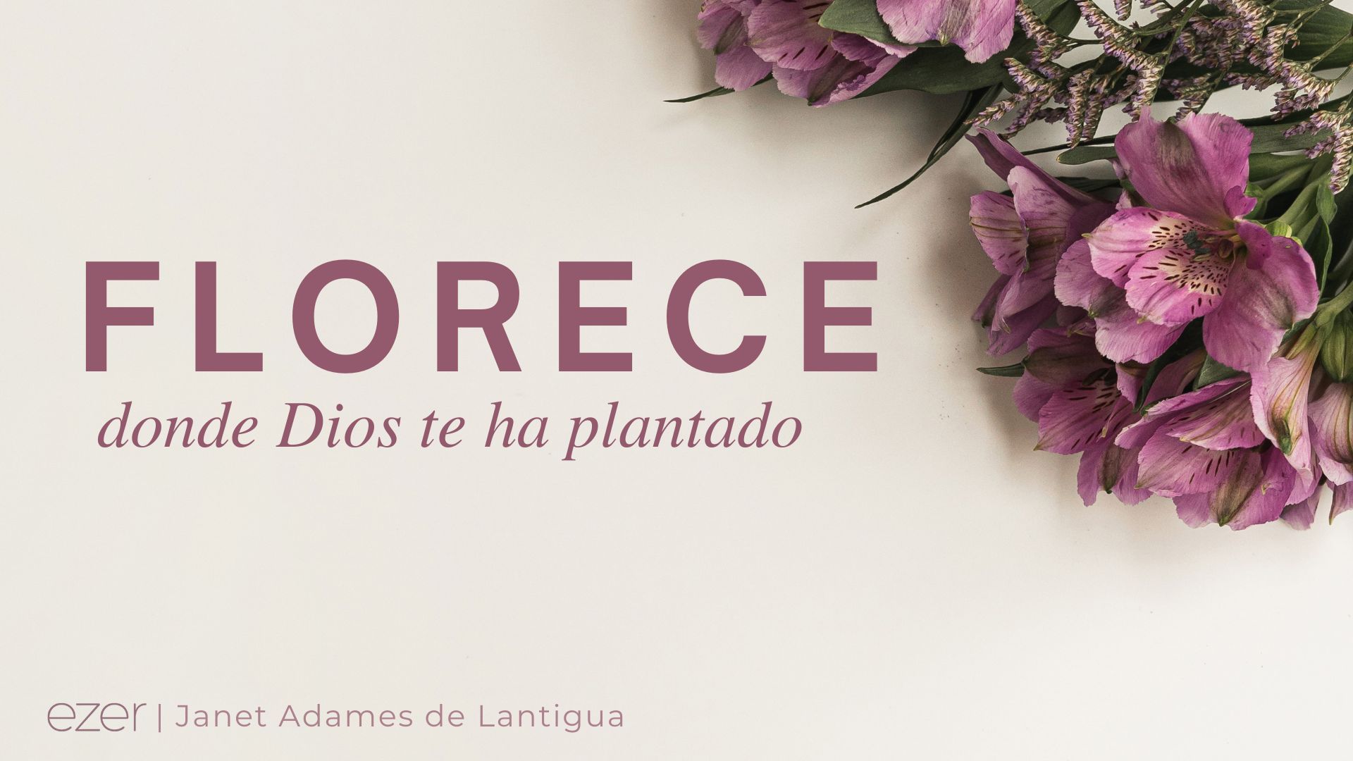 La Flore Que Florece En Ti Scan Vf Cómo florecer donde Dios te ha plantado según la Biblia