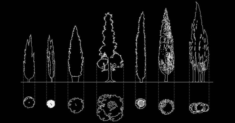 Cómo usar árboles en AutoCAD para vistas de planta y alzado