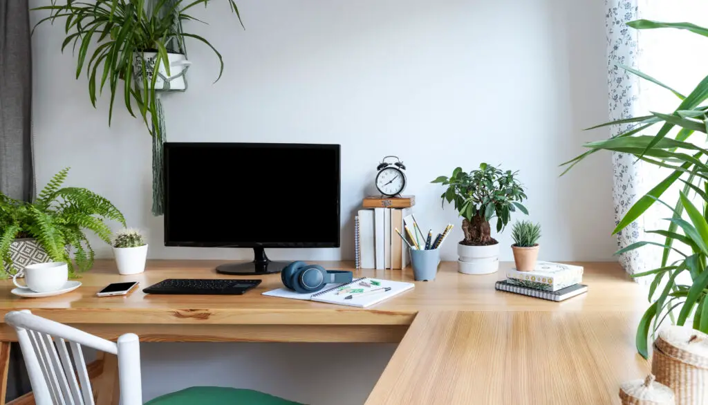 plantas para oficinas