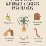 Cómo hacer abono casero para plantas de manera efectiva y sostenible