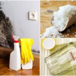 Cómo hacer absorbentes de humedad caseros para mejorar tu hogar