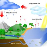 Comprendiendo el dibujo del ciclo del agua y su importancia en la naturaleza