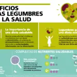Conozca las legumbres y su importancia en la alimentación saludable