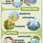 Descubre el significado y la importancia de los hábitats en nuestro ecosistema
