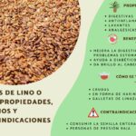 Descubre los Beneficios y Contraindicaciones de la Linaza para la Salud