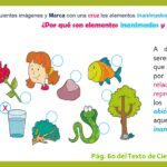 Descubriendo el fascinante mundo de los seres no vivos con ejemplos para niños