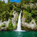 El arroyo es una fuente natural de agua dulce que forma parte del ecosistema