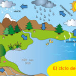 El ciclo del agua explicado de manera sencilla para niños