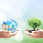 El desequilibrio ecológico y su impacto en el medio ambiente y la biodiversidad