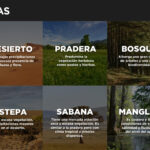 El ecosistema del chaparral y su importancia en el equilibrio ambiental