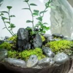 El Jardín Perpetuo como una Solución Sostenible y Estética en Espacios Verdes
