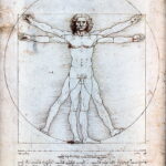 El Núcleo de Dibujo y su Importancia en el Desarrollo del Arte