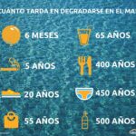 El tiempo que tarda en degradarse el plástico y su impacto ambiental