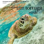El Tortuga Laúd es el Animal Representativo de Veracruz por Su Importancia Cultural y Ecológica