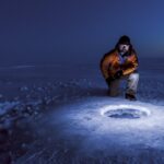 Explorando el Enigma de los Seres que Viven Bajo Tierra