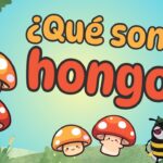 Explorando el Fascinante Mundo de los Hongos Comestibles y sus Beneficios