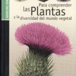 Explorando el fascinante mundo de los vegetales con i