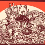 Explorando el Fascinante Reino Fungi a Través de Dibujos Artísticos