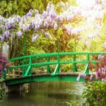 Explorando el Jardín Infinito como un Espacio de Conexión y Belleza Sin Fin