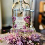 Explorando la Echeveria Lilacina y su Cuidado Esencial para los Jardines Modernos