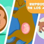 Explorando la fascinante diversidad de los 10 animales que se reproducen asexualmente