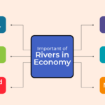 Explorando la Importancia y características de un río para el ecosistema