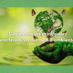 La autoecología y su importancia en la sostenibilidad ambiental