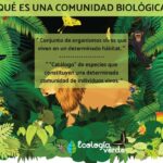 La Comunidad Biológica y su Importancia en los Ecosistemas Naturales