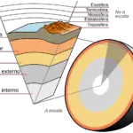 La corteza terrestre es la capa más externa del planeta y su importancia es fundamental para la vida