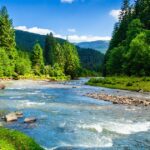 La definición de equilibrio en el ecosistema y su importancia crítica para la vida en la Tierra