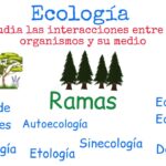 La ecología como ciencia que estudia las interacciones entre organismos y su entorno