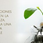 La Ecología Individual y su Importancia para la Sostenibilidad del Planeta