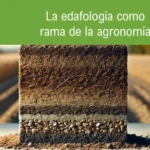 La Edafología es la Ciencia Clave para Comprender los Suelos y su Importancia en la Agricultura
