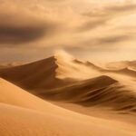La erosión eólica como un fenómeno natural que impacta los ecosistemas