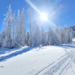 La escarcha es un fenómeno natural fascinante que influye en diversos aspectos del medio ambiente