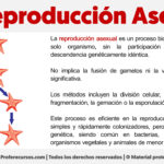 La esporulación es un proceso esencial en la reproducción asexual de ciertos organismos