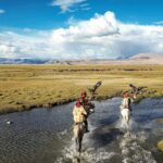 La Estepa Como Ecosistema Único y Su Importancia Ecológica Global