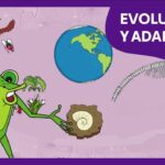 La evolución de un animal revela fascinantes adaptaciones y cambios a lo largo del tiempo