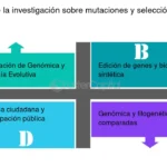 La evolución paralela y su impacto en la diversidad biológica de la Tierra