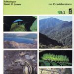 La fascinante biología y ecología de los mustélidos en el mundo natural
