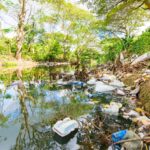 La grave problemática de los ríos contaminados y su impacto en el medio ambiente