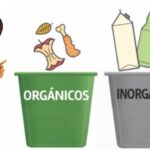 La importancia de enseñar a los niños sobre desechos orgánicos e inorgánicos