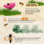 La Importancia de la Abeja en Flor para la Biodiversidad y la Agricultura