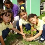 La Importancia de la Nutrición de las Plantas para Niños en el Aprendizaje Ecológico
