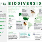 La Importancia de las Especies Autóctonas en Nuestro Ecosistema