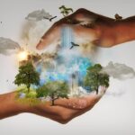 La Importancia de las Imágenes de Ecosistemas en la Conservación Ambiental