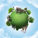 La Importancia y Diversidad del Entorno Terrestre en Nuestro Planeta