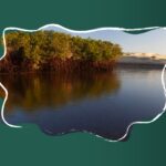 La Marisma como Ecosistema Fundamental para la Biodiversidad y la Protección del Medio Ambiente