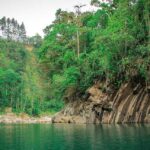 La Ribera del Río y su Importancia en el Ecosistema Natural