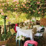 La rosa trepadora es una planta versátil que embellece jardines y espacios exteriores